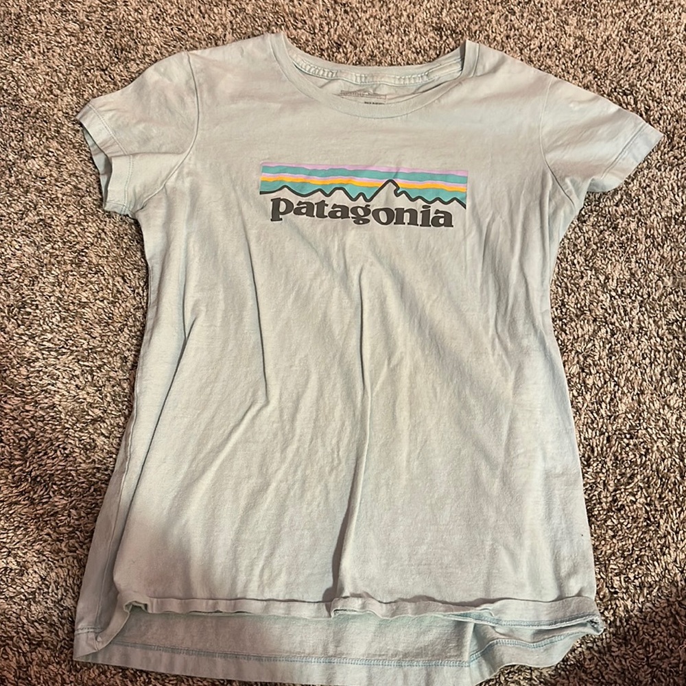 Patagonia blue shirt